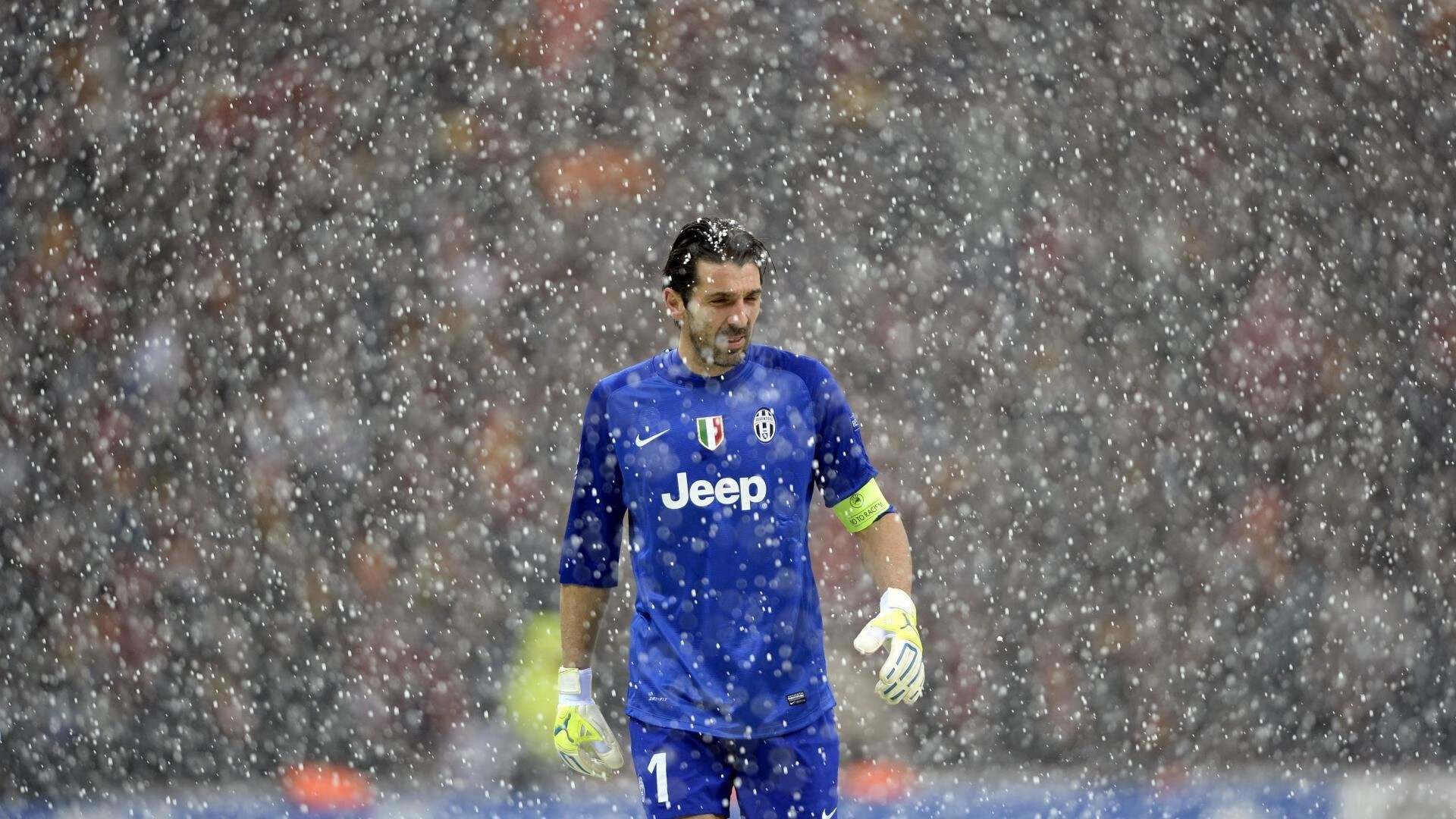 “马丁·高尔西：阿根廷美洲狮队的防守壁垒”