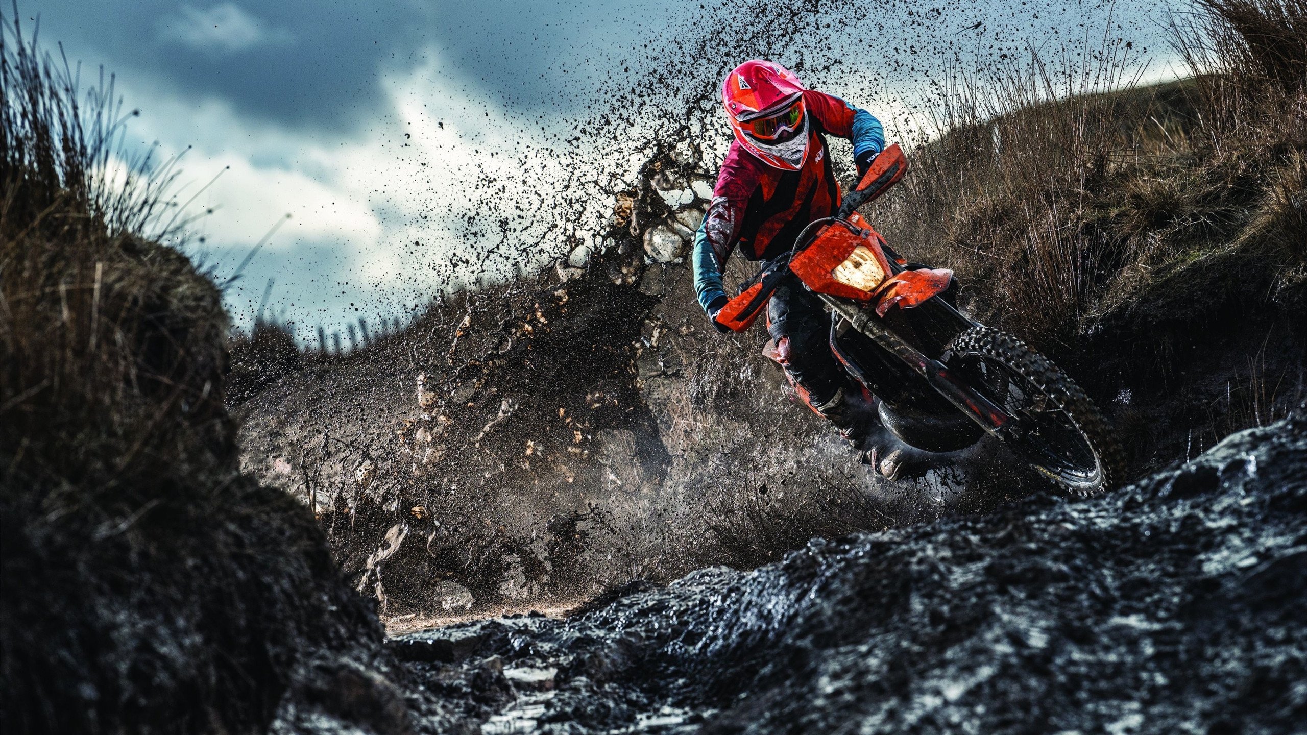 帕利斯特展现新生代自由泳力量，帕特里斯