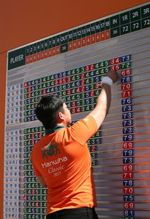 爱游戏体育在线赛事-格鲁吉亚女篮在欧洲锦标赛中夺冠，崭露头角的佳绩队伍，格鲁吉亚参加过欧洲杯吗